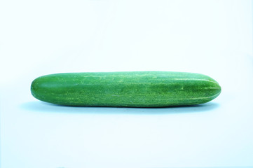 The cucumber (Cucumis sativus)