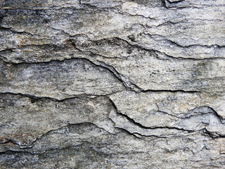 Background. Texture. A natural stone.