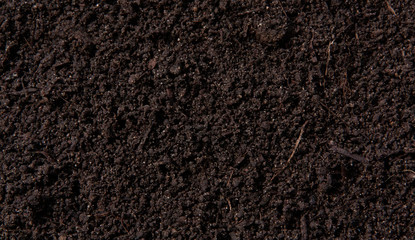 fresh fertile soil as background shot close-up