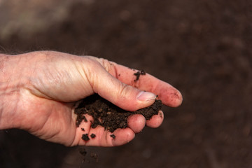 fresh fertile soil in men's palms close-up