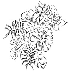 Vector hand drawn sketch with tropical leaves and flowers isolated on white background. Exotic botanical design elements for wedding invitation cards, cosmetics, spa, perfume, beauty salon. Line art