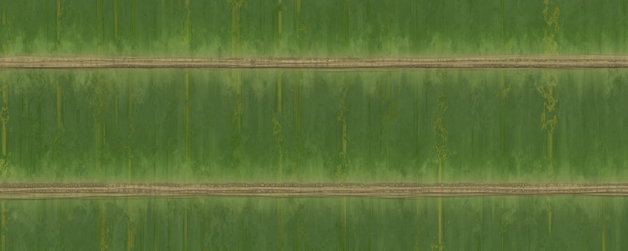 Green bamboo texture background