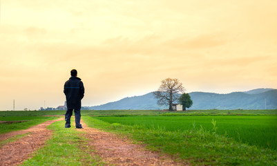 Traveler man in raincoat clothes standing watching an ancient bombax ceiba plant in the countryside of Vietnam