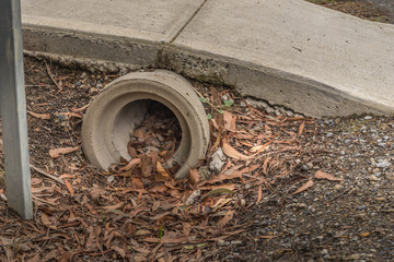 Obraz premium Leaves starting to clog a drain pipe, autumn