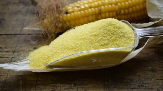 Zea mays ft8107_0599