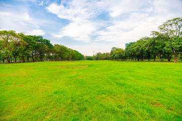 Obraz premium Green city public park with meadow and tree sky cloud