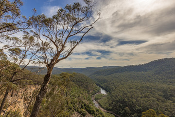 Mitchell River in Victoria, Australia on an overcast day.