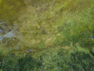 Aerial Photo - Nature Patterns