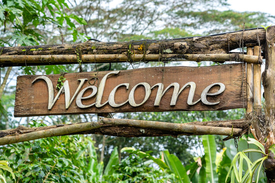 Welcome Nature Images – Browse 102,068 Stock Photos, Vectors, and Video |  Adobe Stock