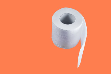 White toilet roll for hygienic use, isolate