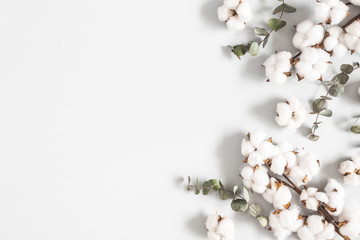 Flowers composition. Eucalyptus leaves and cotton flowers on pastel gray background. Flat lay, top view, copy space - obrazy, fototapety, plakaty