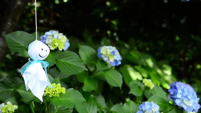 てるてる坊主と紫陽花