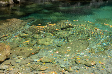四国 安居渓谷 高知県の清流　仁淀川