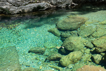 四国 安居渓谷 高知県の清流　仁淀川