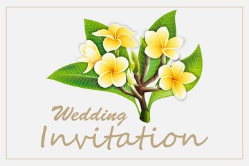 Elegant frame wedding invitation with plumeria flowers on isolated background