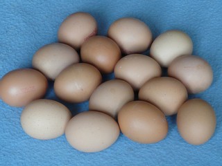White eggs on blue background