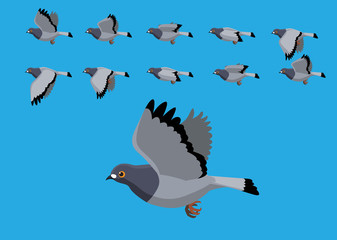 Pigeon Flying Motion Animation Sequence Cartoon Vector Illustration