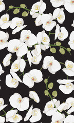 White orchid floral seamless pattern. Flowers bloom blossom foliage bouquet on black background.