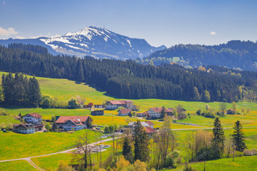 Lush green alpine valley with snow-capped mountain