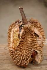 Durian fruit is rotten on the wood floor.