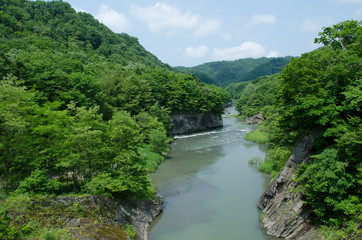 Fototapeta na wymiar 滝の上公園の風景