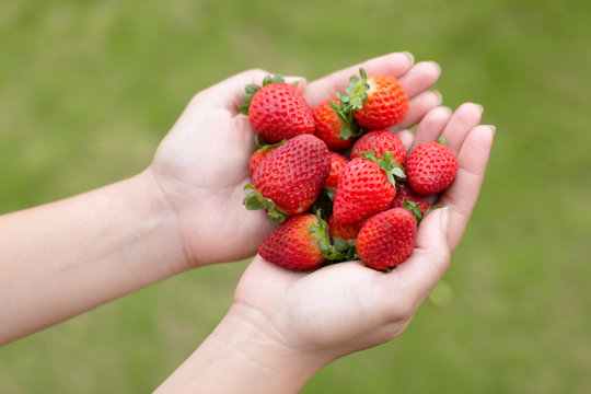 A woman holding red strawberries.