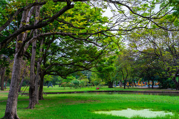 Obraz na płótnie Canvas Green city public park with meadow and tree sky cloud