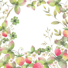 Hand painted watercolor illustration. Background with floral herb different elements. Strawberry field. 