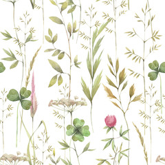 Hand painted watercolor illustration. Seamless pattern with different herb. 
