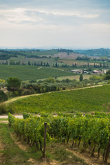 Fototapeta na wymiar Hiking hills, backroads and vineyards at autumn, near Siena in Tuscany, Italy