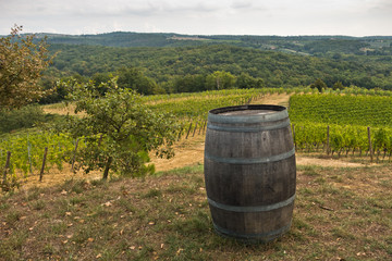 Obraz premium Hiking hills, backroads and vineyards at autumn, near Siena in Tuscany, Italy
