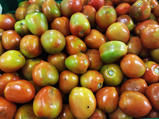 yellowish green tomatoes