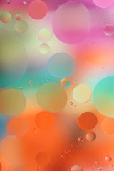 Oil drops in water on a colored background. Bright background with pink, orange and green circles of different sizes. Blur, vertical, place for text, multi-color. Concept of design.