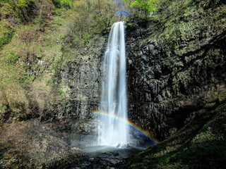 Obraz premium 玉簾の滝