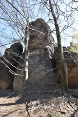 Big rocks with a tree in front at the hiking trail at Elbe Sandstone Mountains in beautiful Saxon Switzerland near Bohemian Switzerland in Germany