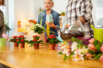Beautiful red flowers standing on the table