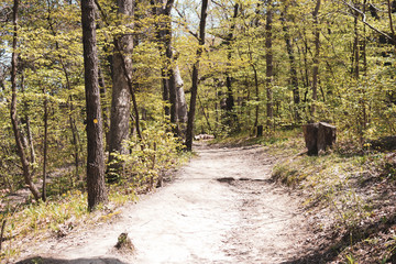 A walk in nature