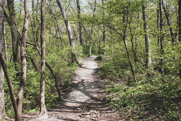 A dirt path