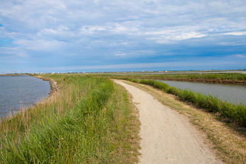 delta of the river po emilia romagna and veneto north italy