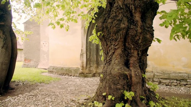 Enterance of a gothic church with old trees