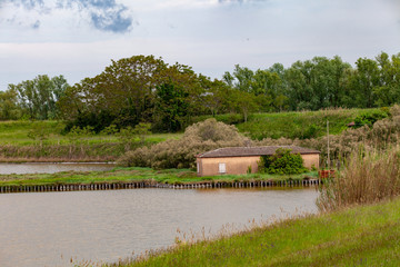 delta of the river po emilia romagna and veneto north italy