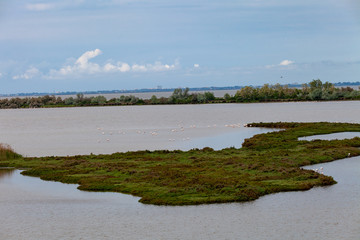 delta of the river po emilia romagna and veneto north italy