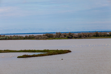delta of the river po emilia romagna and veneto north italy