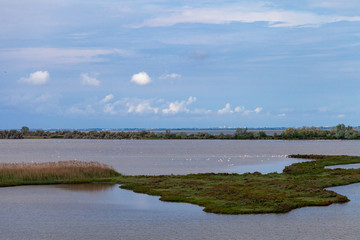 delta of the river po emilia romagna and veneto north italy