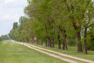delta of the river po emilia romagna and veneto north italy