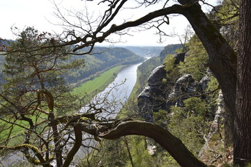 Panorama of Elbe River with a tree branch in front in the Elbe Sandstone Mountains in beautiful Saxon Switzerland near Bohemian Switzerland in Germany