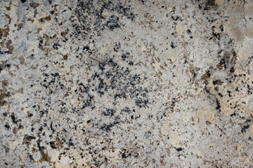 Natural polished stone of gray granite with dark specks