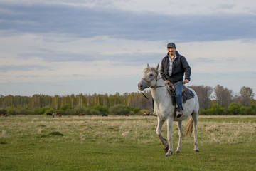  A fermer on a white horse in the field