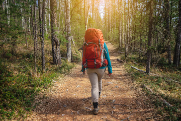 Fototapeta premium Girl hiker in the forest walking with backpacks in the sunset. The view from the back. Adventure travel, tourism, Hiking