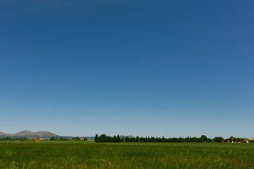 Fields around Peratallada